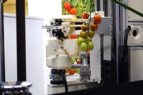 پاناسونیک ربات گوجه فرنگی چین ساخت